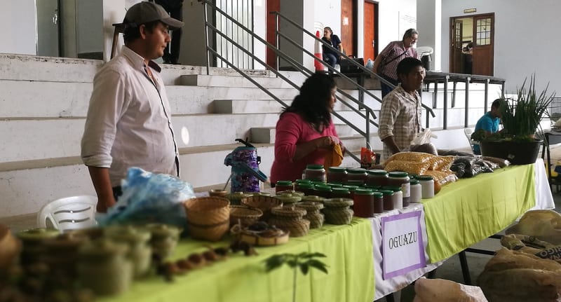 Realizan tercera feria agroecológica y artesanal en Lambaré