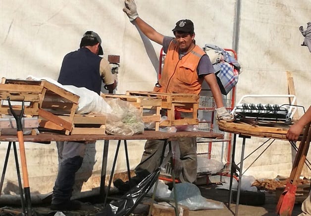 Vendedores exigen al Gobierno mayor asistencia