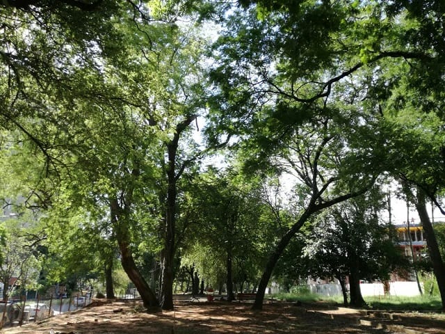 Parque Pavetti: Vecinos pasarán la noche en el predio