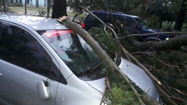 Temporal deja cuantiosos daños en varias zonas del país