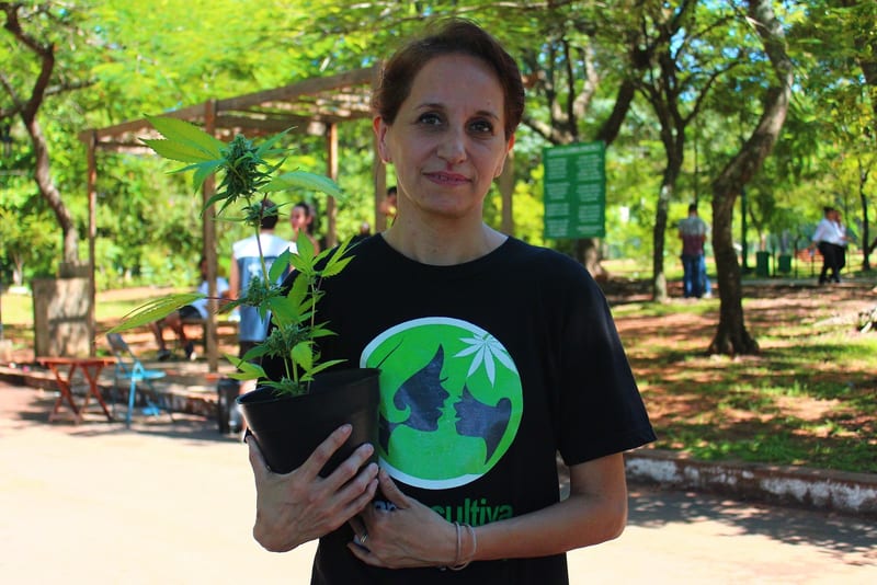 Presentan amparo para cultivar cannabis