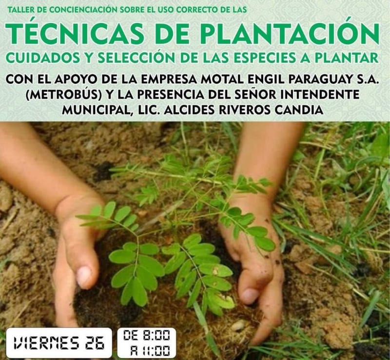 Minimizan tala de árboles en zona del metrobús