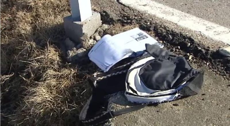 Paraguayo, acusado de arrollar y matar a una joven, trató de huir de España