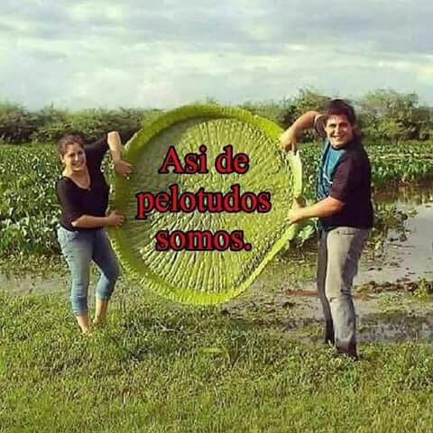 El Yakare Yrupẽ no se salva… de los memes