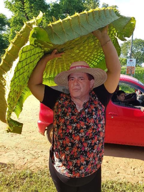 El Yakare Yrupẽ no se salva… de los memes