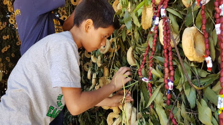 Kurusu Jegua, una tradición de casi un siglo que persiste