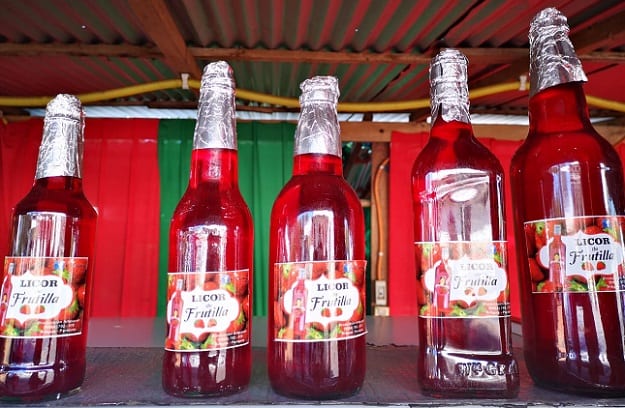 Producción de frutilla se mantiene y perdurará pese a falta de apoyo estatal