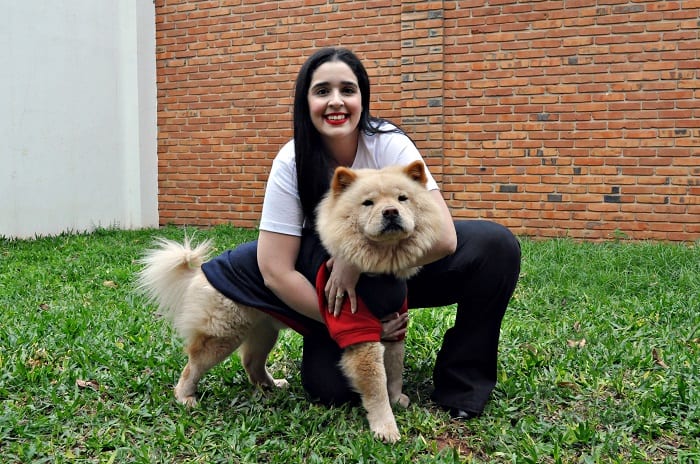 Desfile canino mostrará lo mejor de la raza chow chow