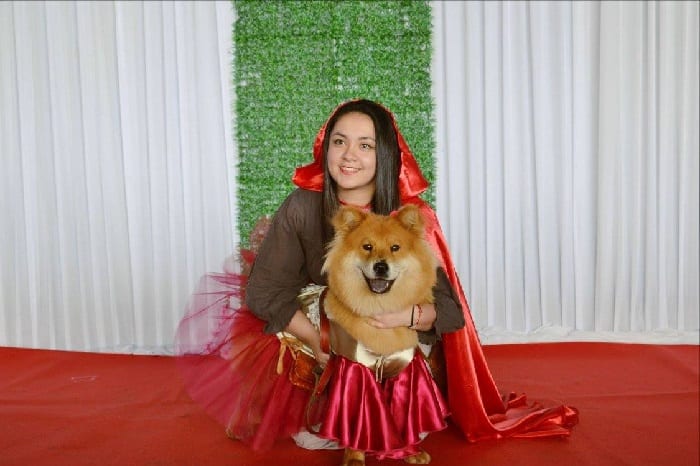 Desfile canino mostrará lo mejor de la raza chow chow