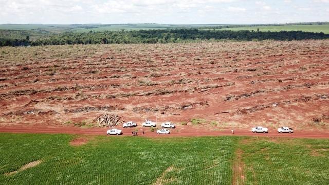 Intervienen crimen contra el medioambiente