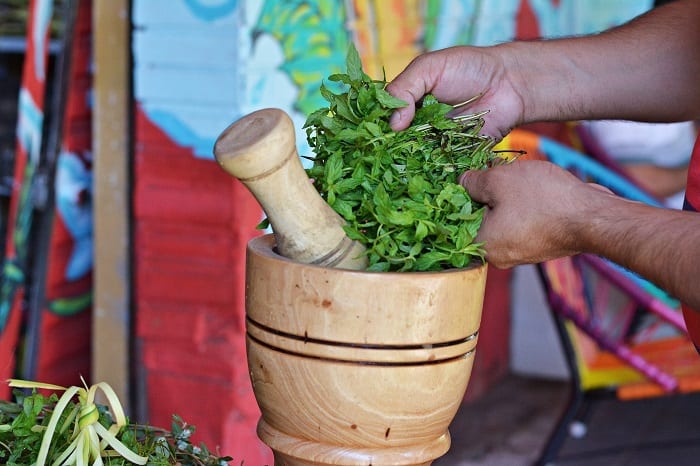 Conozca los 10 yuyos más solicitados para el “tereré pantano”
