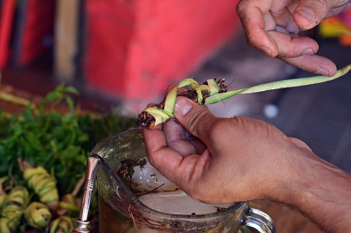 Conozca los 10 yuyos más solicitados para el “tereré pantano”