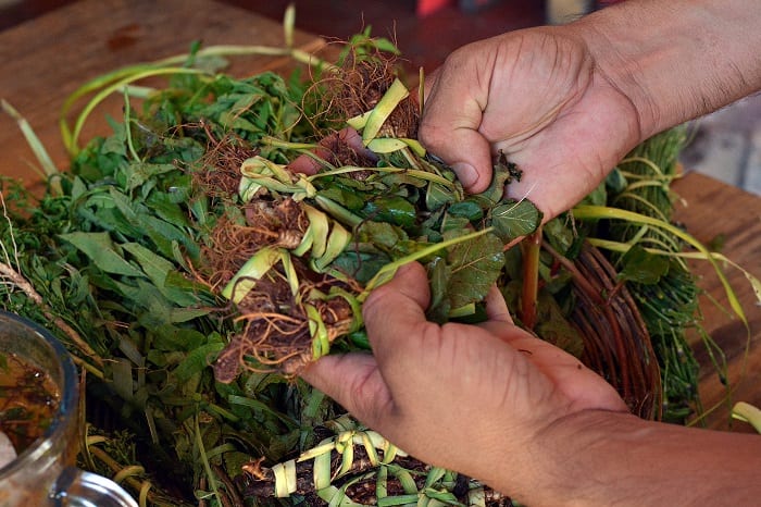 Conozca los 10 yuyos más solicitados para el “tereré pantano”