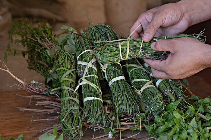 Conozca los 10 yuyos más solicitados para el “tereré pantano”