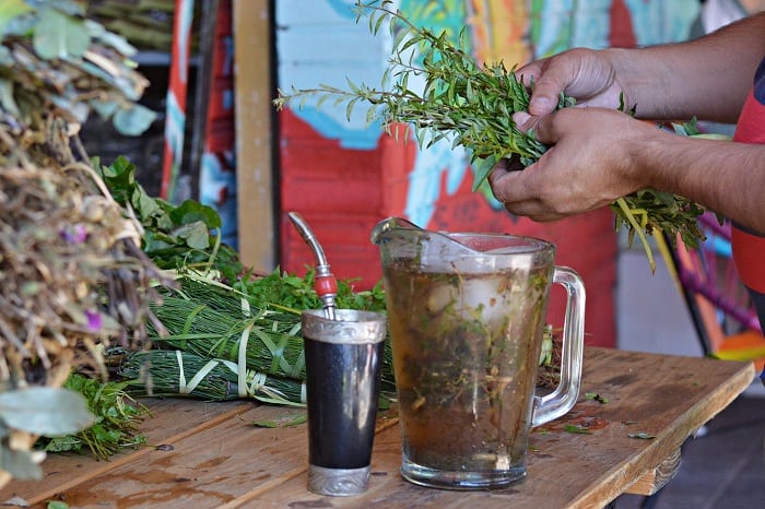 Conozca los 10 yuyos más solicitados para el “tereré pantano”