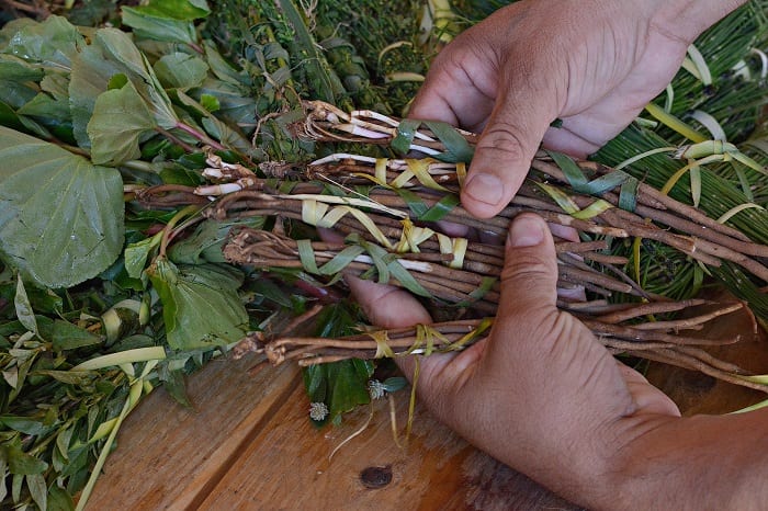 Conozca los 10 yuyos más solicitados para el “tereré pantano”