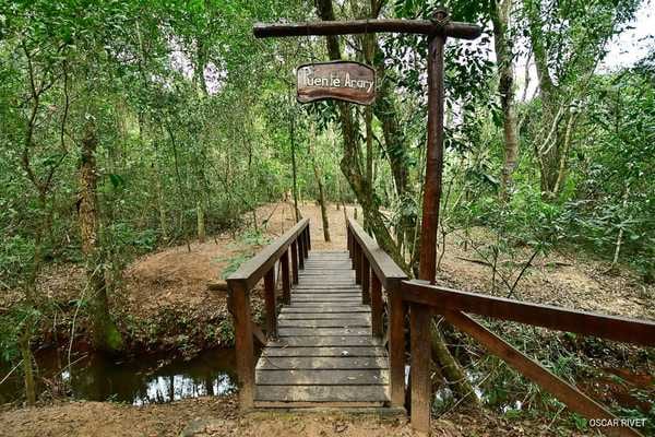 10 datos para disfrutar de los atractivos de Itaipú y Yacyretá en Semana Santa