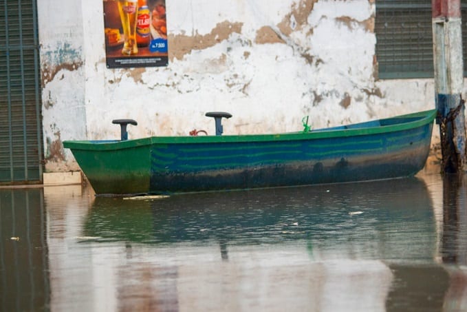 10 impactantes imágenes de la vida bajo el agua en Asunción