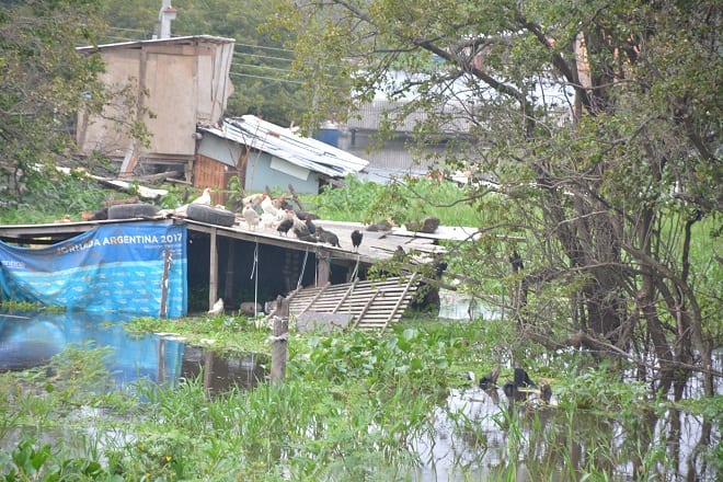 10 impactantes imágenes del antes y después de la crecida en la Costanera