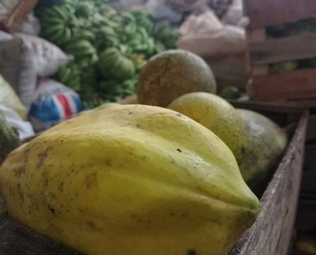 Labriegos donan más de nueve mil kilos de alimentos a damnificados