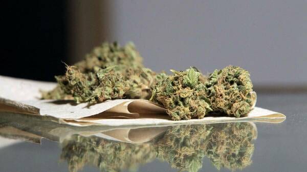 10 puntos para entender el consumo de drogas en los colegios