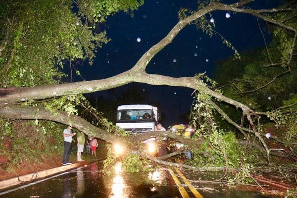 Las 10 imágenes más impactantes de lo que dejó el temporal