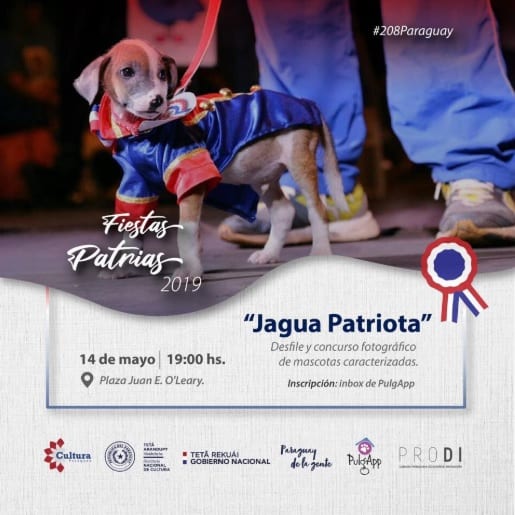 11 actividades para celebrar la Independencia