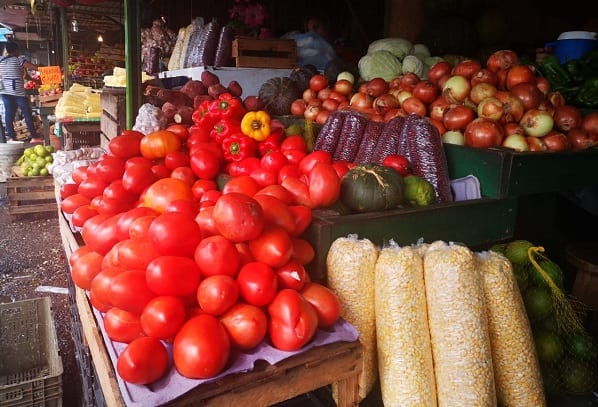 Precio del tomate está por las nubes
