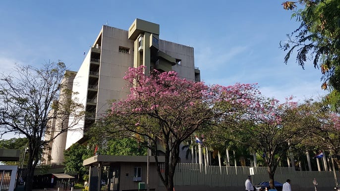 Un orgullo de Paraguay: 11 hermosas postales del lapacho rosado