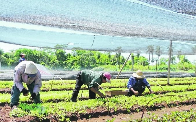 10 acciones del Gobierno para reactivar la economía