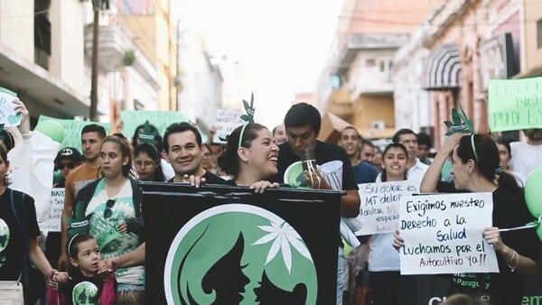 Cannabis legal en Paraguay: 10 datos para entender lo que proyecta el Gobierno