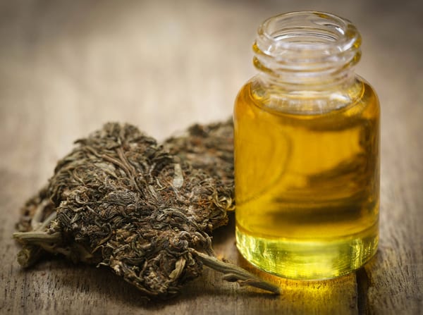 Las 10 verdades del hombre condenado por usar cannabis medicinal