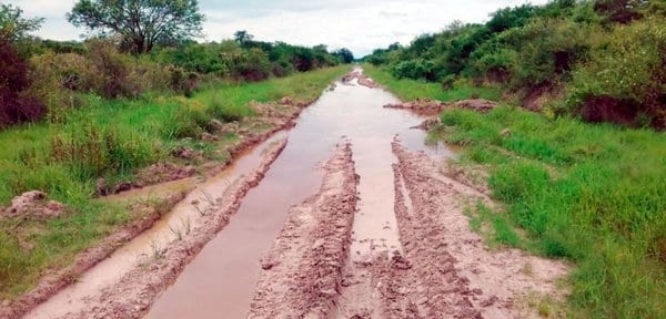 ¿Cómo es vivir en Puerto Diana?: Conozca estos 12 datos insólitos