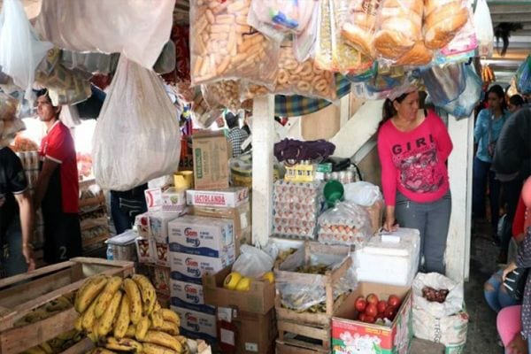¿Cómo es vivir en Puerto Diana?: Conozca estos 12 datos insólitos