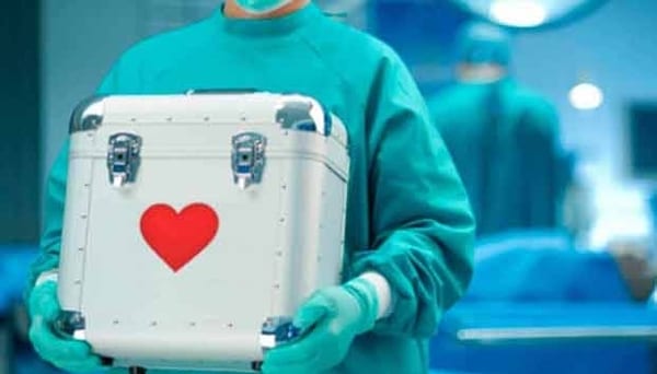 10 datos para entender cómo es la “Ley Anita”