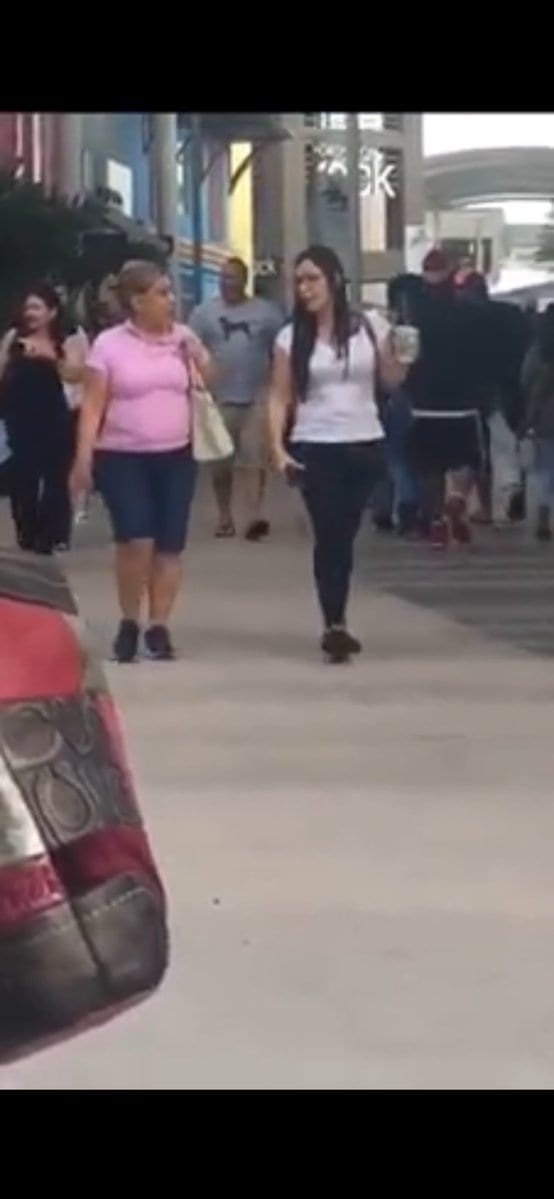 Desirée publica fotos del paseo en Miami de la ministra “high level”