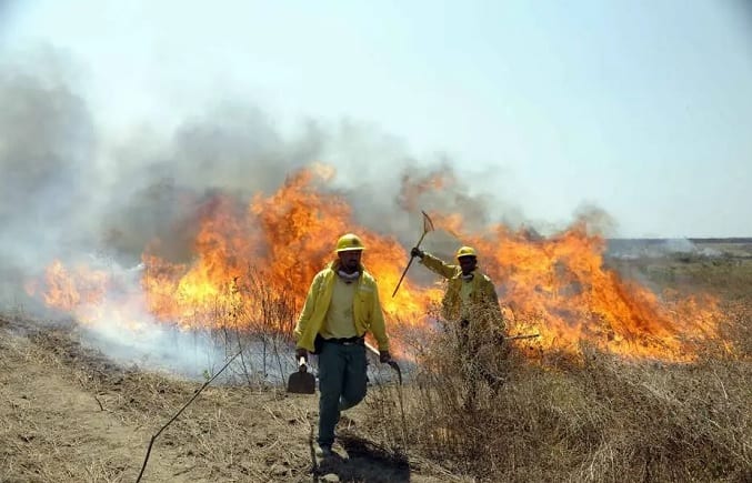 10 impactantes imágenes del incendio en el Amazonas