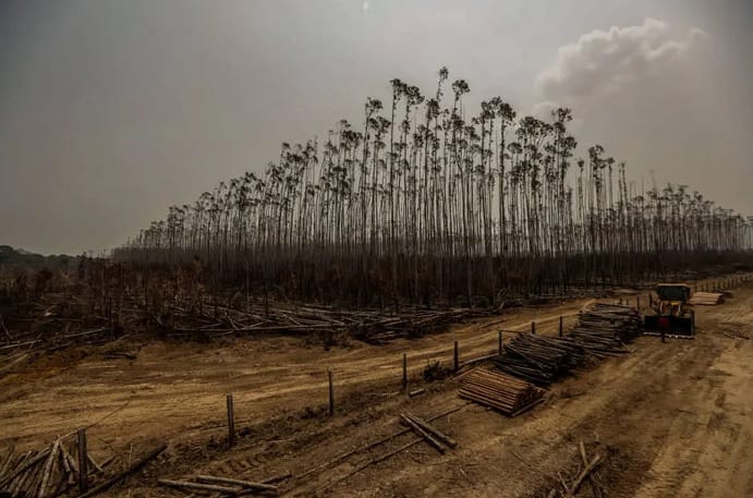 10 impactantes imágenes del incendio en el Amazonas