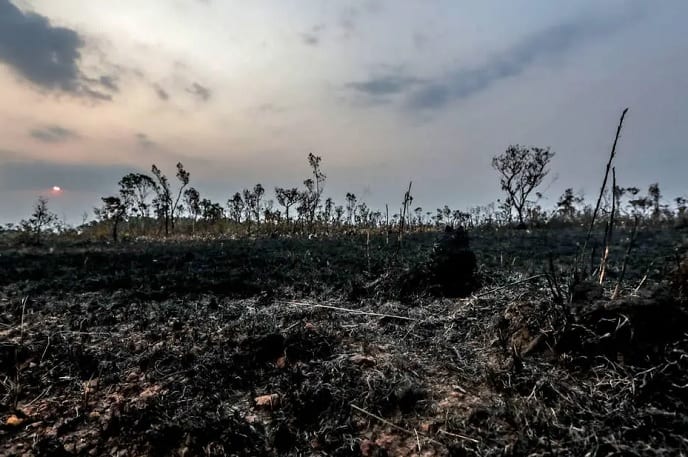 10 impactantes imágenes del incendio en el Amazonas