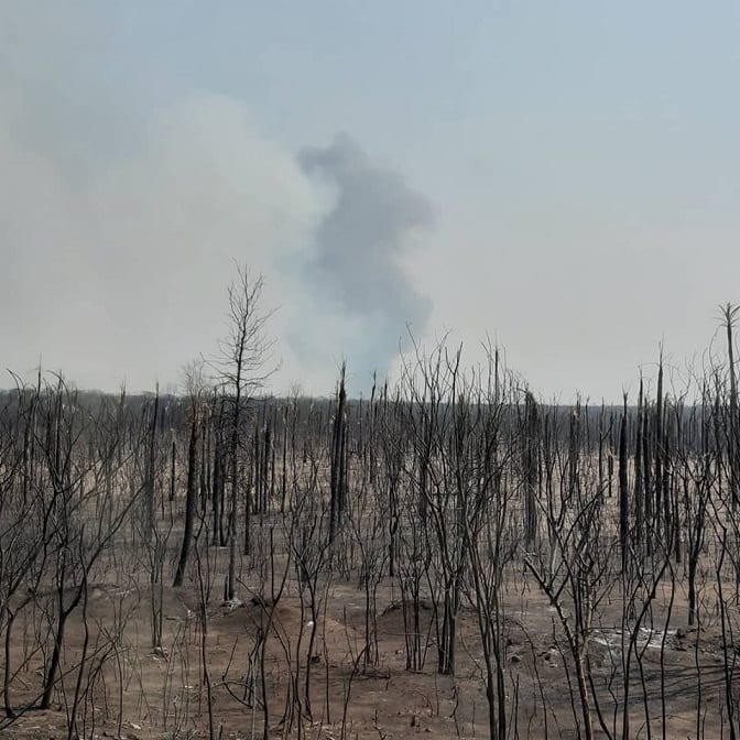 13 desgarradoras imágenes de lo que el fuego consumió en el Chaco