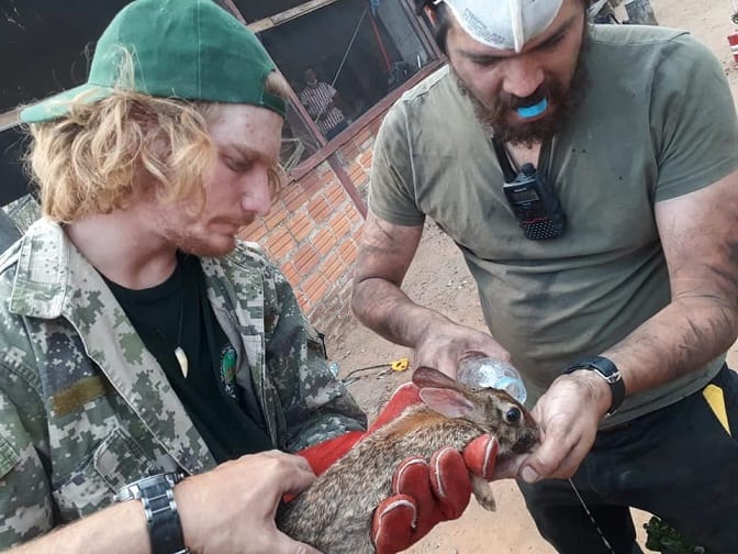 13 desgarradoras imágenes de lo que el fuego consumió en el Chaco