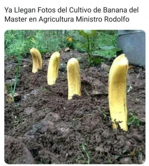 15 picantes tuits y memes sobre Friedmann en el MAG