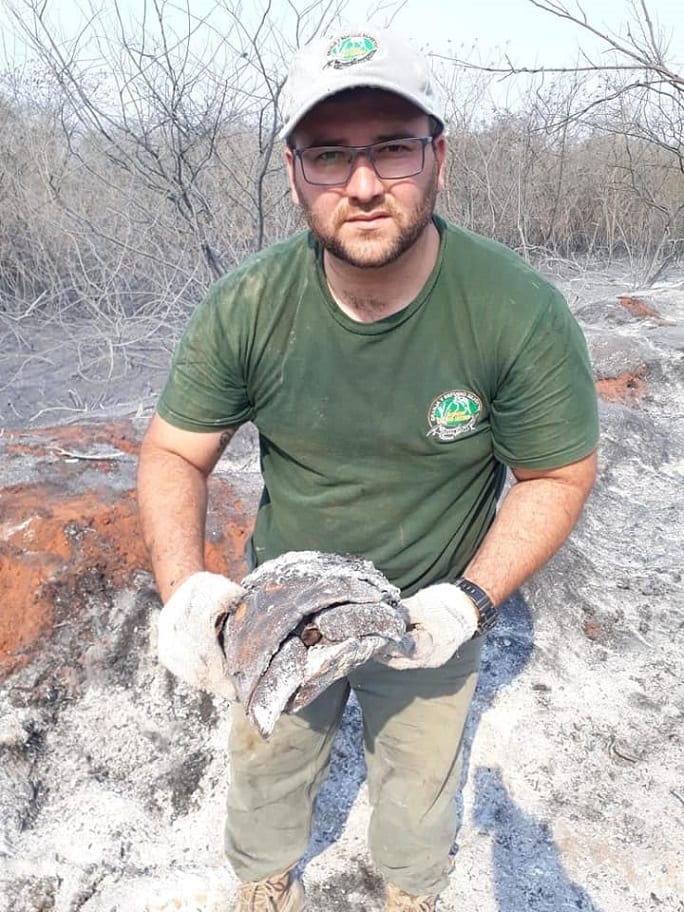 13 desgarradoras imágenes de lo que el fuego consumió en el Chaco