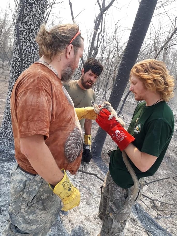 13 desgarradoras imágenes de lo que el fuego consumió en el Chaco