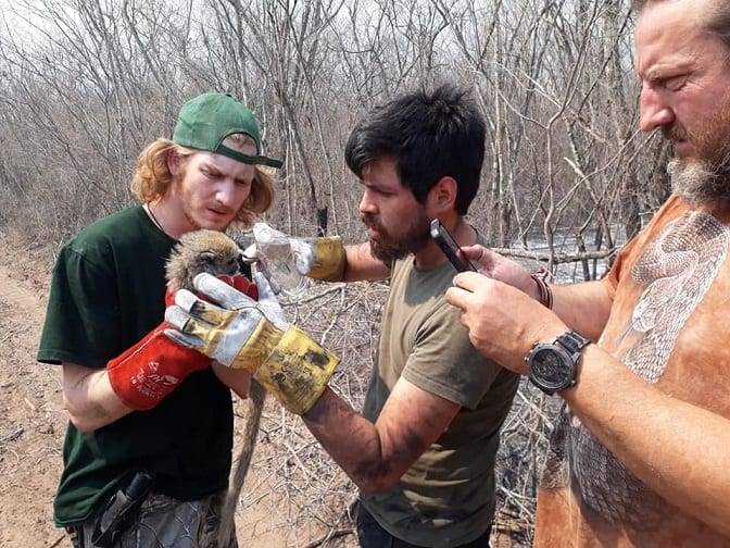 13 desgarradoras imágenes de lo que el fuego consumió en el Chaco
