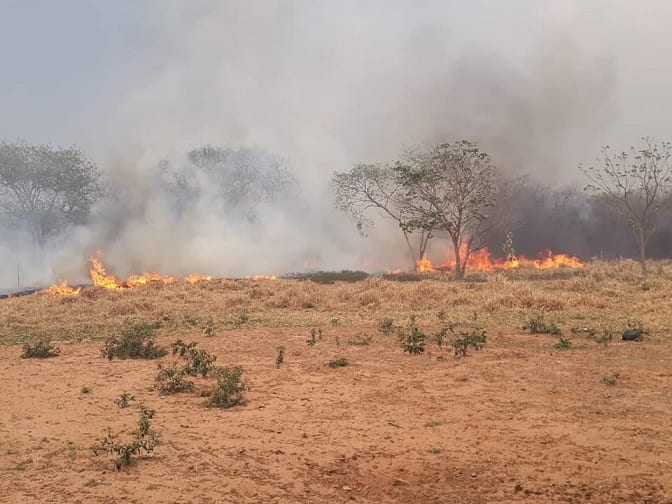 13 desgarradoras imágenes de lo que el fuego consumió en el Chaco