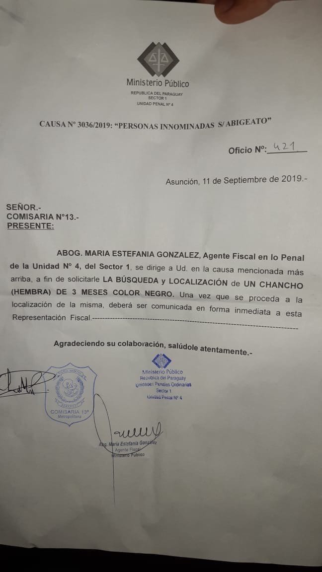 Fiscala ordena a la policía buscar un “chancho negro”