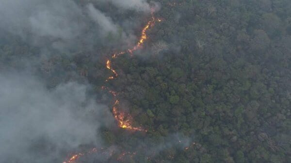 10 datos sobre “el infierno en la tierra”