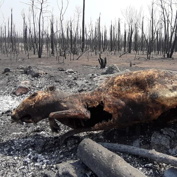 10 datos sobre “el infierno en la tierra”