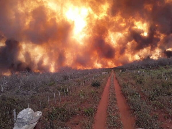 10 datos sobre “el infierno en la tierra”